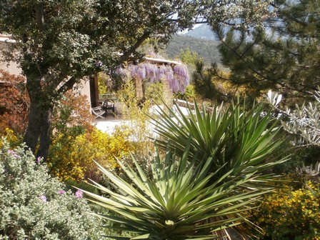 Location maison villa en Provence avec piscine privée
